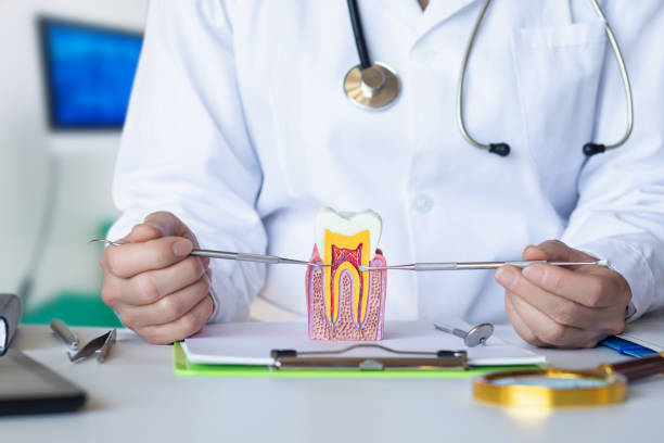 Best Emergency Gum Treatment in Fritch, TX